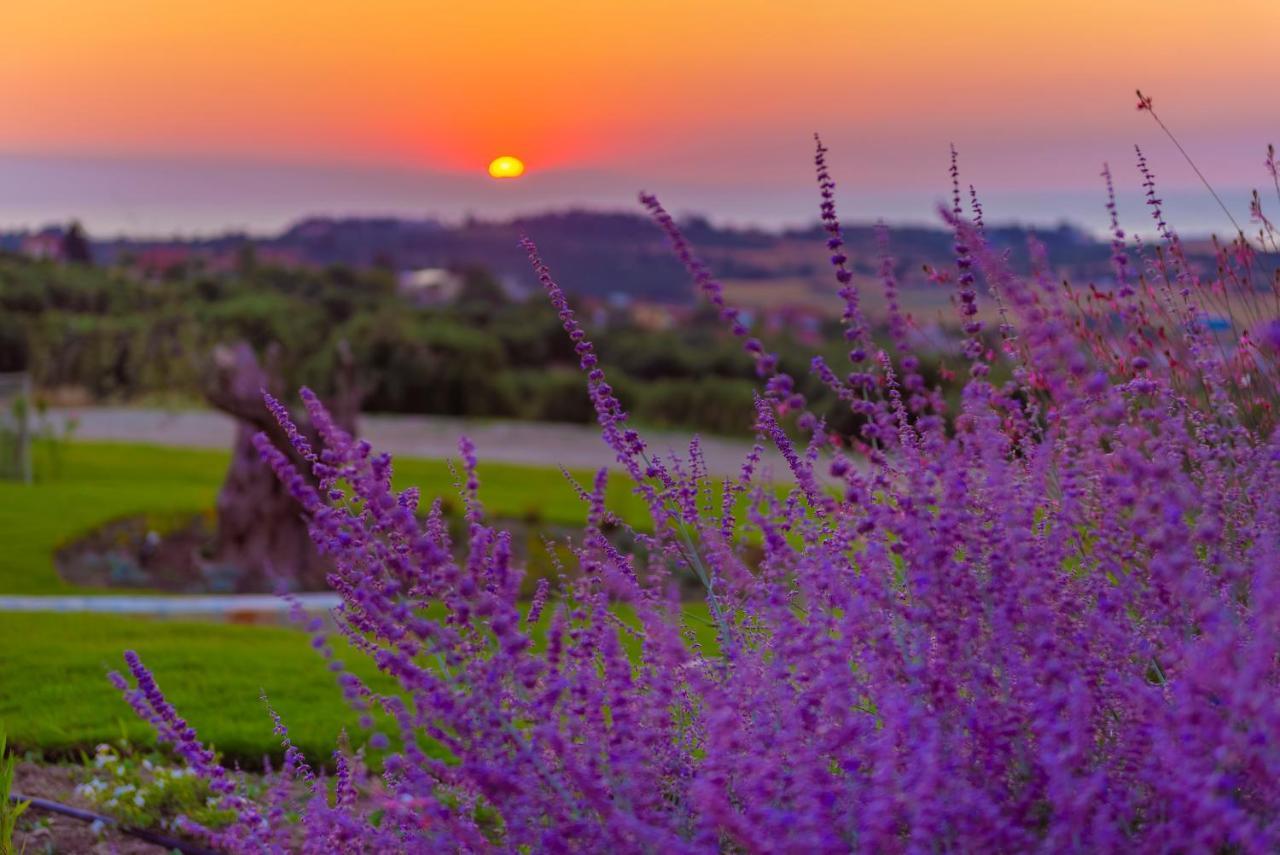 Mint Retreat Suites (Adults Only) Καλάνδρα Εξωτερικό φωτογραφία